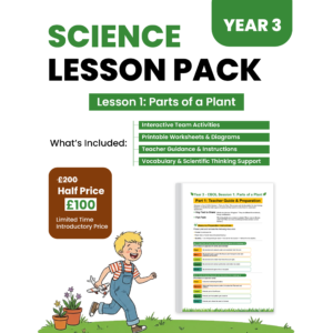 Year 3 Lesson 01
