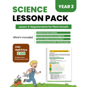 Year 3 Lesson 02
