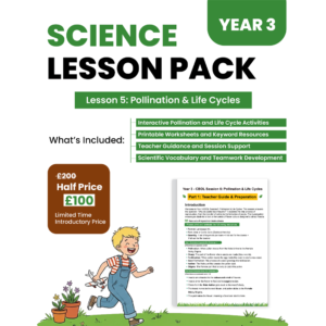 Year 3 Lesson 05