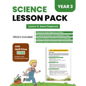 Year 3 Lesson 06