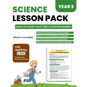 Year 3 Lesson 08
