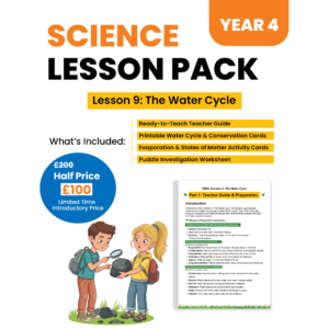 Year 4 Lesson 09